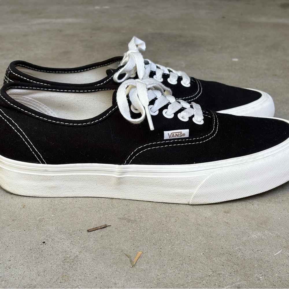 Vans Black and White Skate Authentic